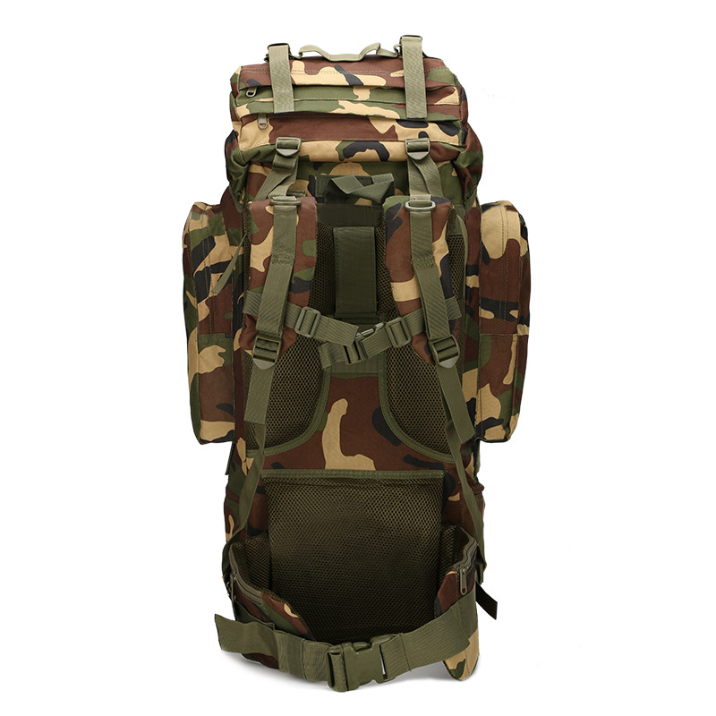 ハイキングバックパック 軽量 アウトドアバックパック 65L - Lightweight Backpack 65L のレビューと価格
