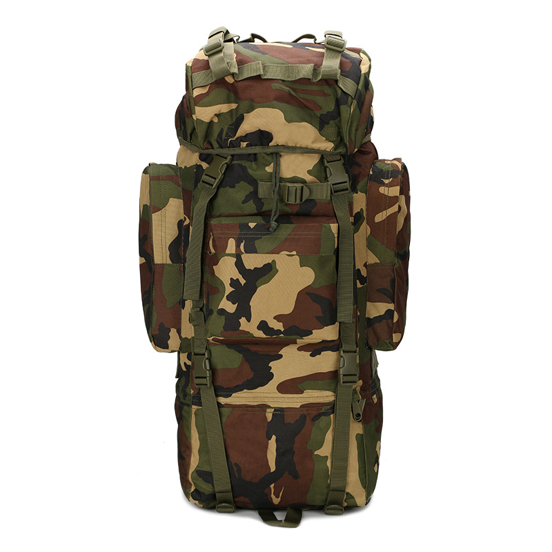 ハイキングバックパック 軽量 アウトドアバックパック 65L - Lightweight Backpack 65L のレビューと価格
