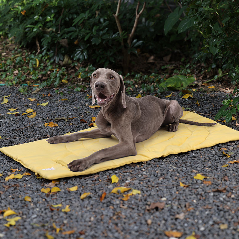 ポータブル折りたたみ式ペットマット,収納バッグ,ペット用品, - Outdoor Camping Rugs のレビューと価格