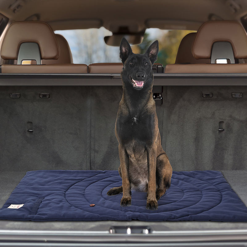 ポータブル折りたたみ式ペットマット,収納バッグ,ペット用品, - Outdoor Camping Rugs のレビューと価格